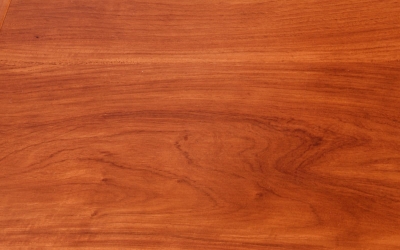 緬甸花梨（大果紫檀）